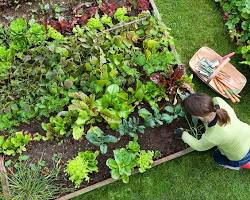 9 High-Converting Affiliate Products That Actually Make Money 13 Gardening