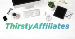 Beginner's Guide to Affiliate Marketing Success 34 Ways 9 Plugin Thirsty Affiliates