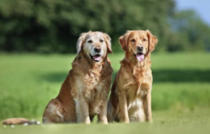 Screenshot 2023 09 19 at 16.57.55