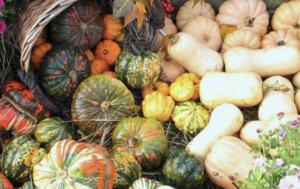 Screenshot 2023 09 19 at 17.07.19